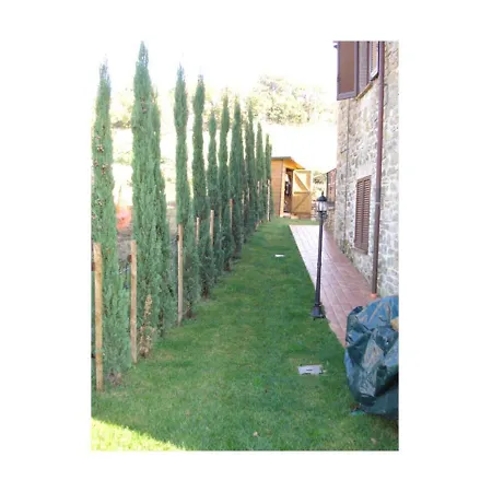 Il Faggeto Farm stay *